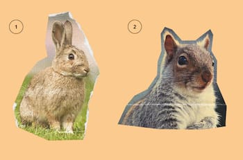 Test de personalidad: ¿Eres alguien que tiende a ponerse ansioso?