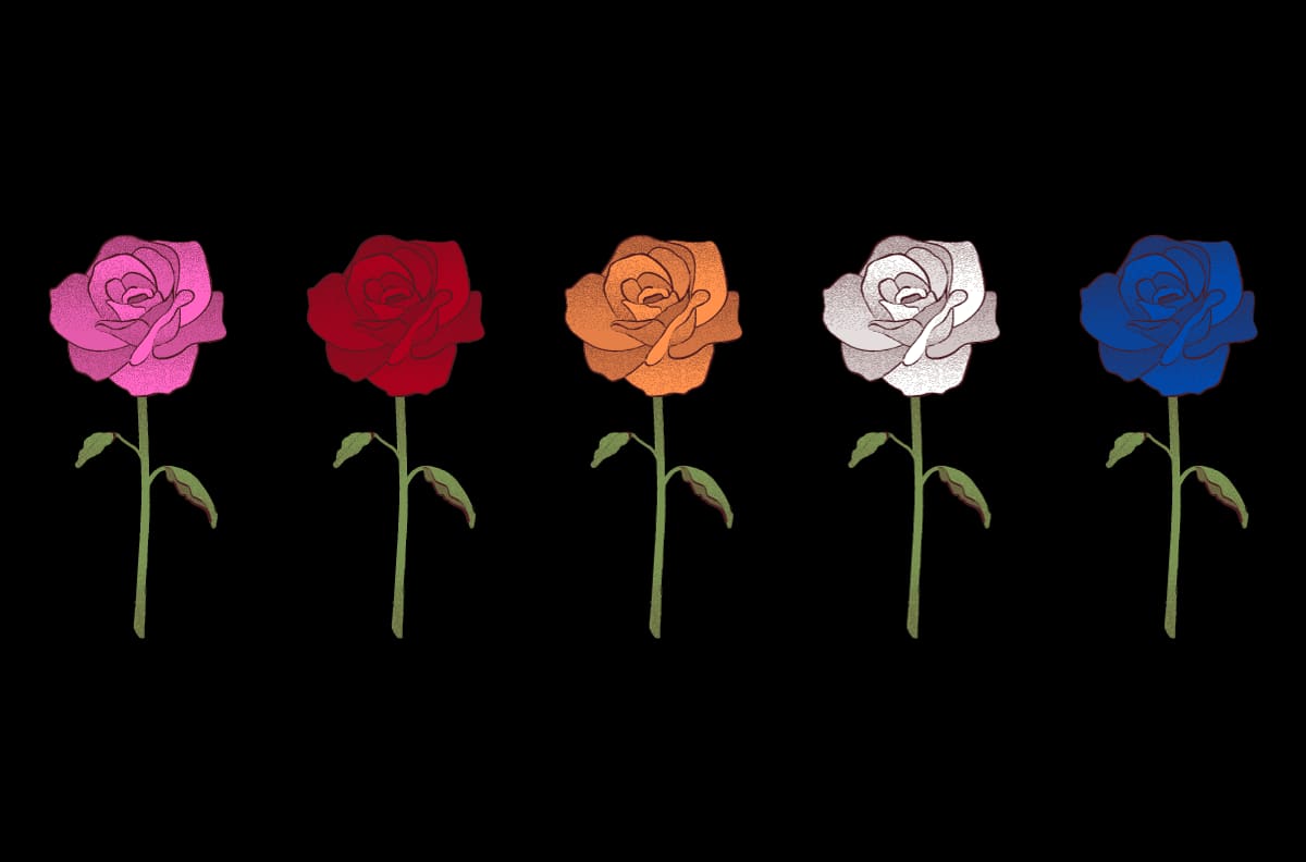 Test de personalidad: Si tuvieras que regalarte una rosa, ¿de qué color sería?