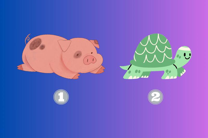 ¿Qué prefieres, cerdo o tortuga?