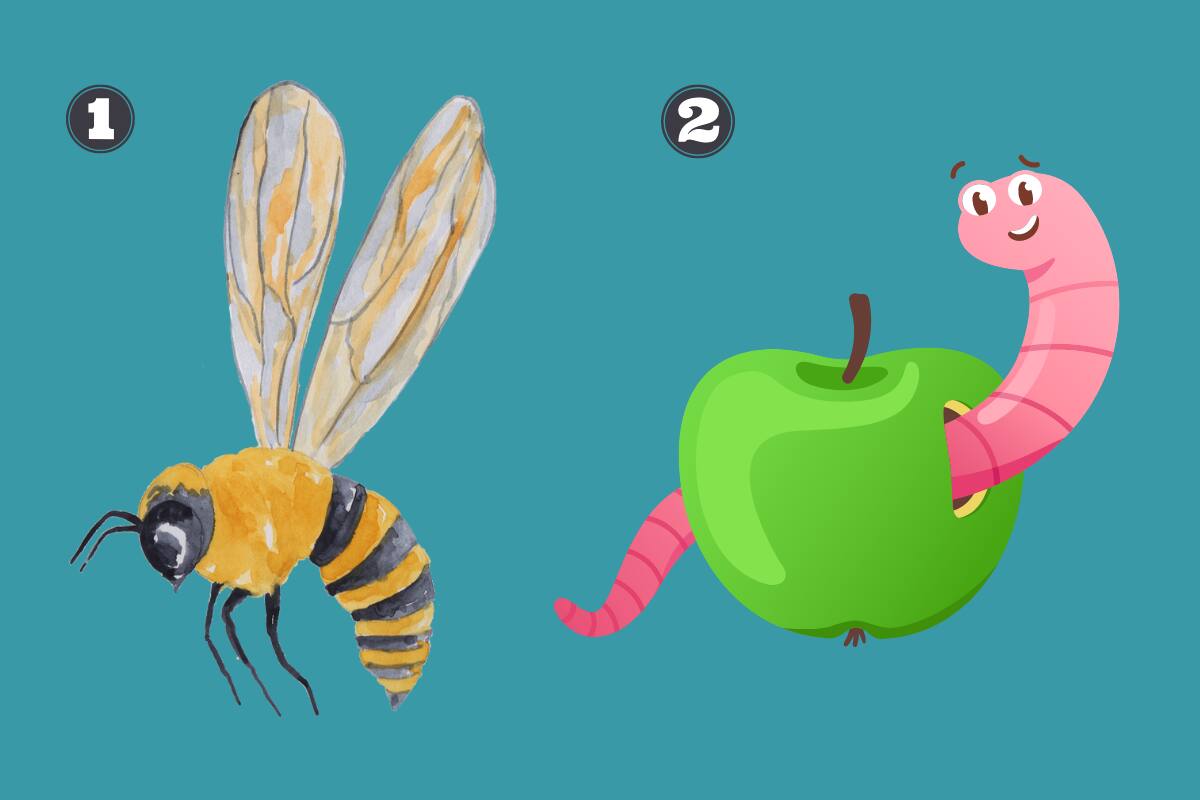 ¿Abeja o lombriz?