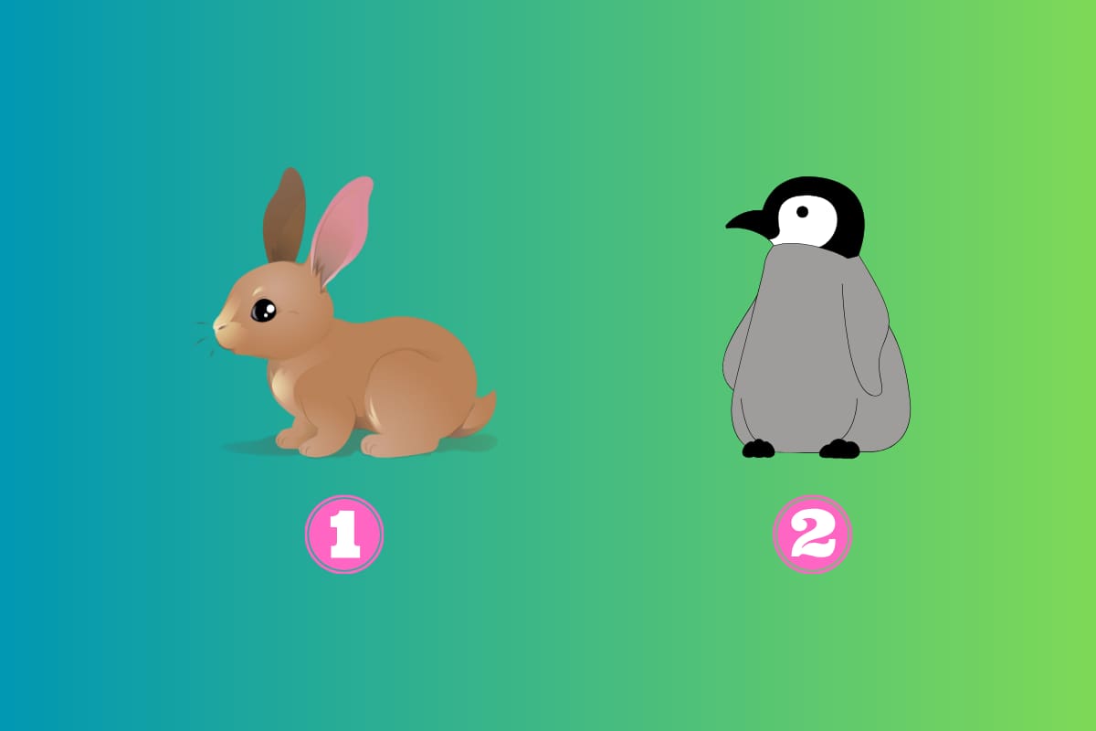 ¿De qué forma generas relaciones amorosas?