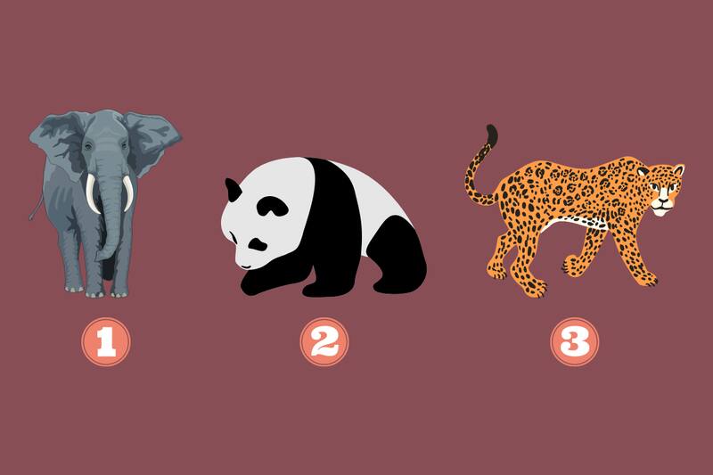 ¿Qué camino debes seguir en tu vida?