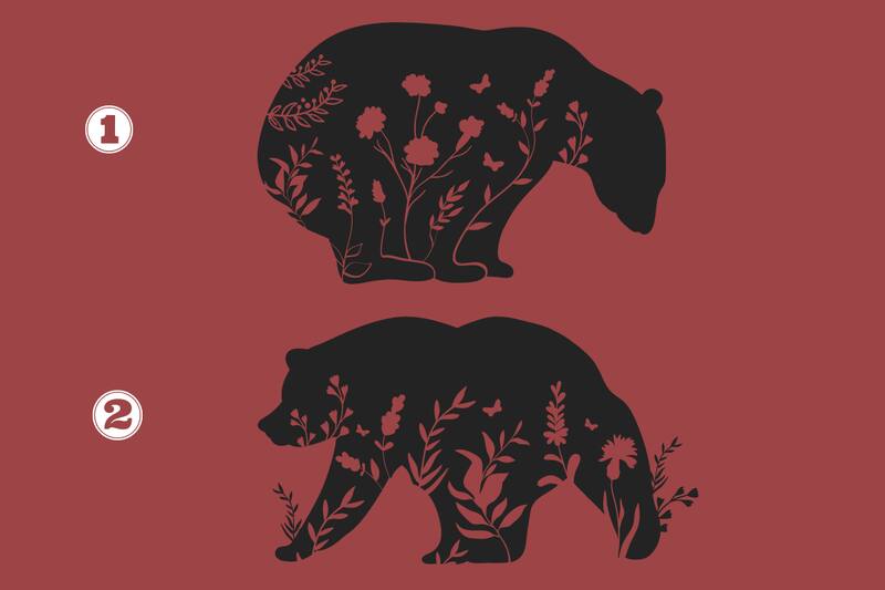 Elige uno de los osos y descubre si eres una persona prejuiciosa.