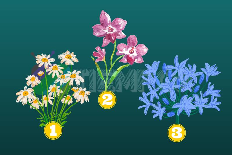 Test de Personalidad Conoce tu cualidad que más destacará esta semana. - Créditos: Ilustraciones: Sparklestroke | Edición: Tiempox.com