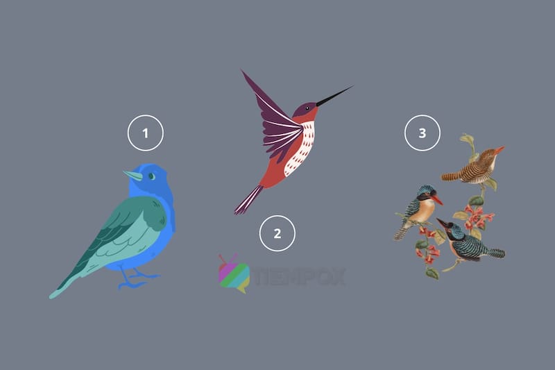 Test de Personalidad Descubre qué dice de ti el pájaro que elijas. - Créditos: Tiempox.com