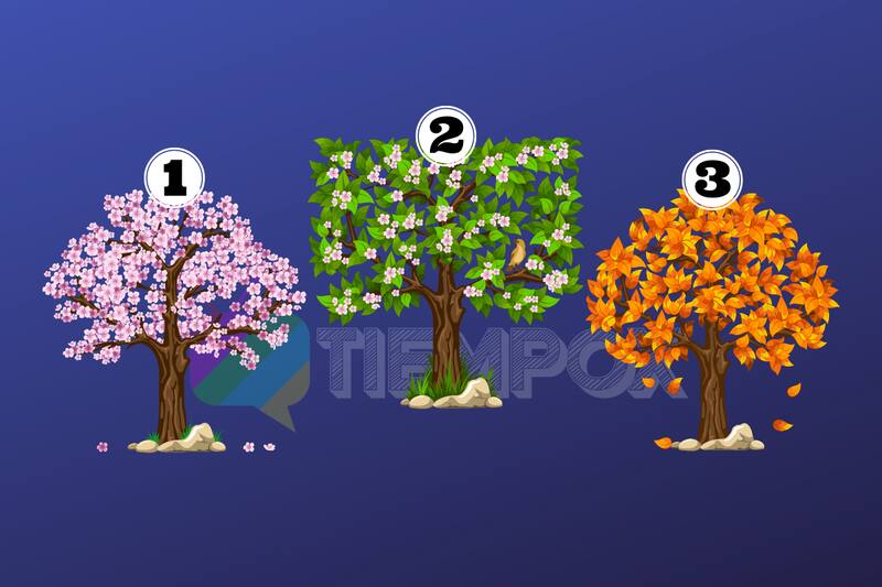 Test de Personalidad Elige un árbol y descubrirás cuál es tu virtud. - Créditos: Ilustraciones: Vector Beauty | Edición: Tiempox.com