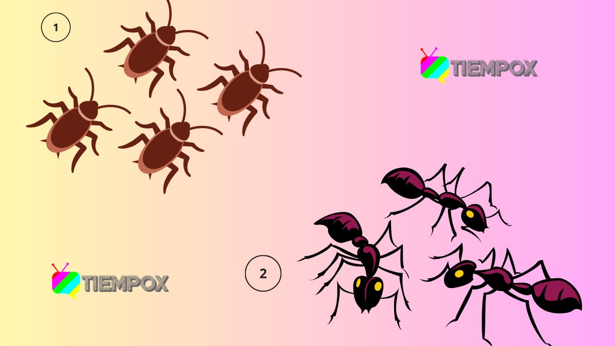 Test de Personalidad: Lo primero que veas te dirá si eres una persona perfeccionista