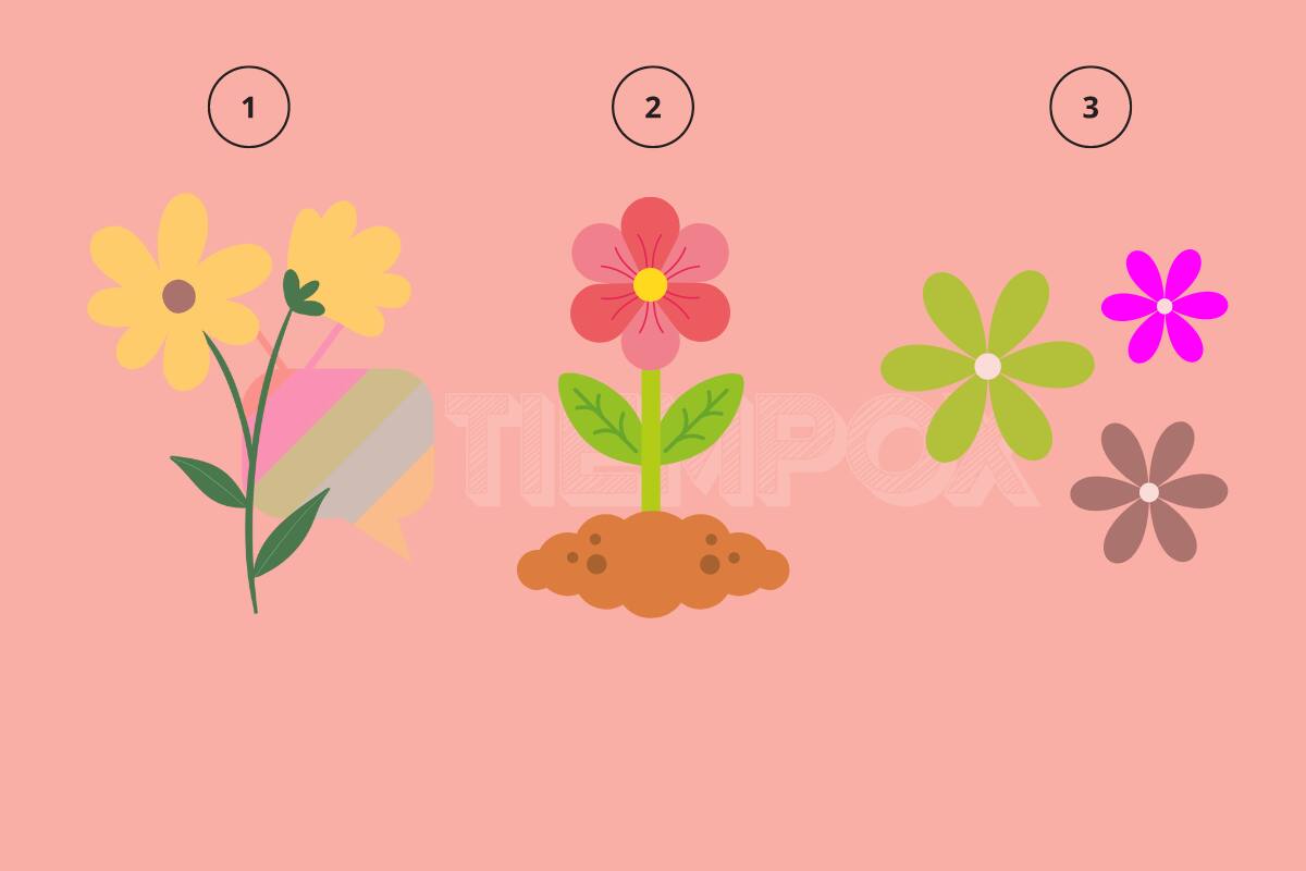 Test de Personalidad ¿Eres una persona que se compara a sí misma o a las demás personas? - Créditos: tiempox.com