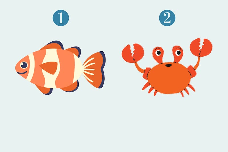 Test de Personalidad La opción que escojas revelará si te rodeas de personas sinceras o no. - Créditos: tiempox.com