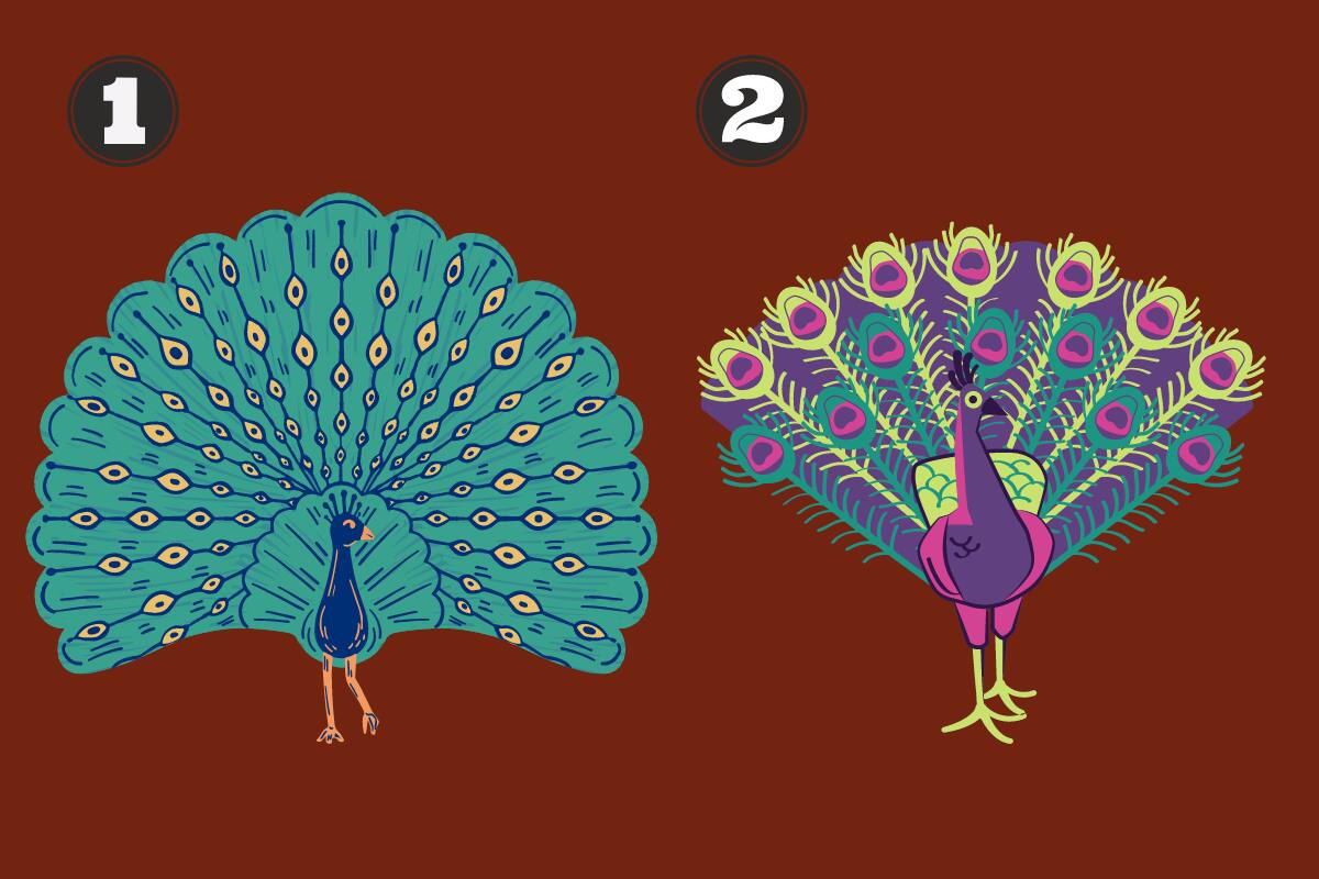 Test de personalidad ¿Qué pavo real te representa más? - Créditos: Tiempox.com