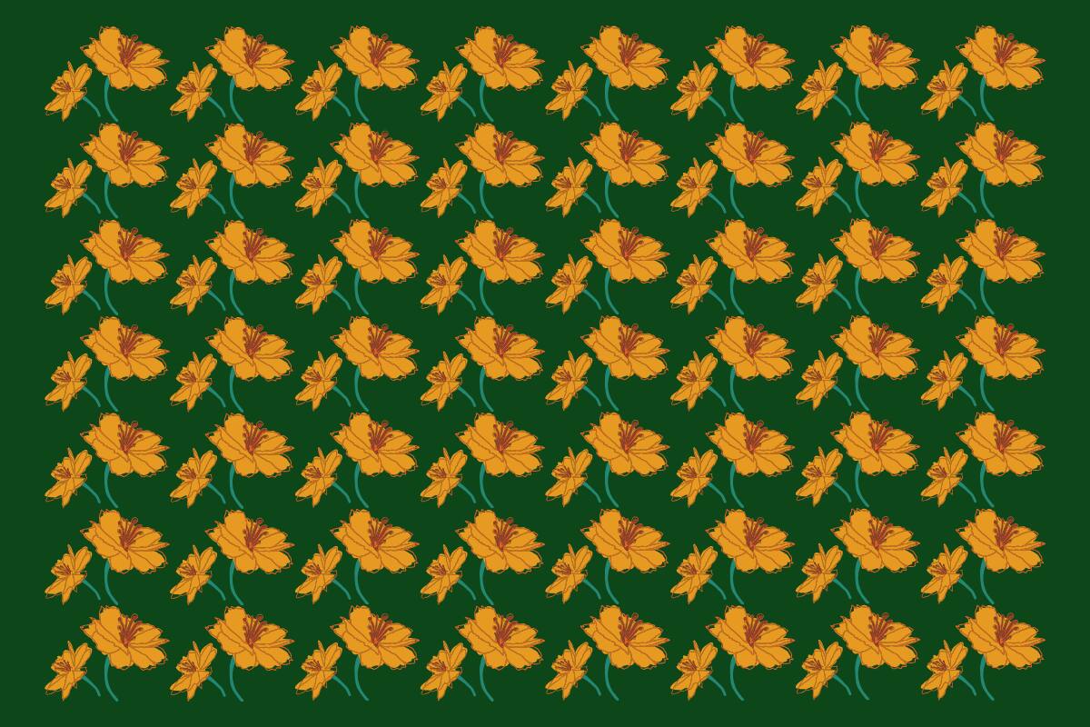 ¿Eres capaz de encontrar la única flor diferente?