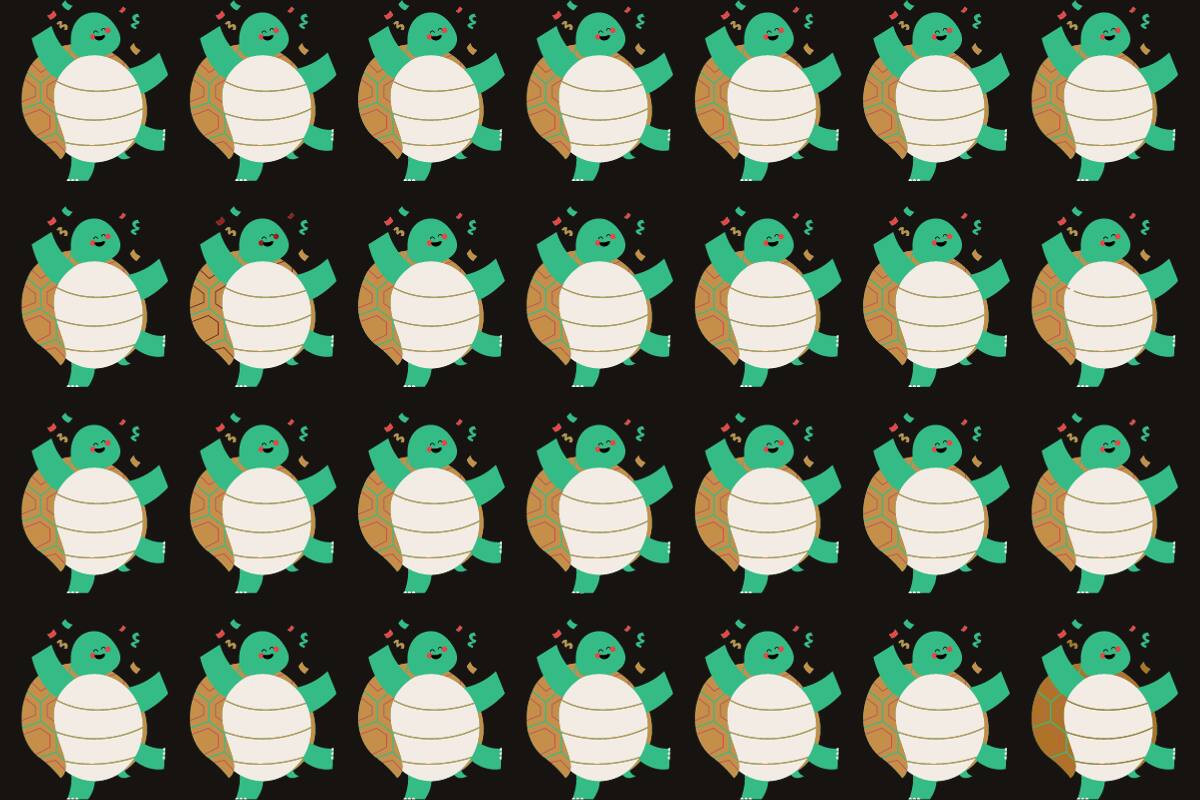 Intenta encontrar las cuatro tortugas diferentes.