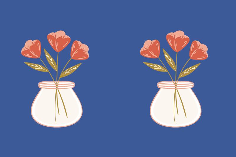 Encuentra las 3 diferencias en los floreros de imagen en el menor tiempo posible.