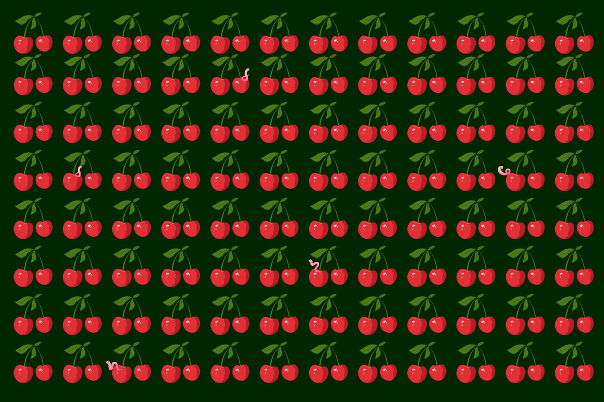 ¿Podrás salvar a las guindas? Encuentra a los gusanos invasores antes de que se acabe el tiempo.