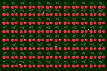 Test visual: ¡Salva a las guindas! Encuentra a los 5 gusanos invasores en menos de 10 segundos