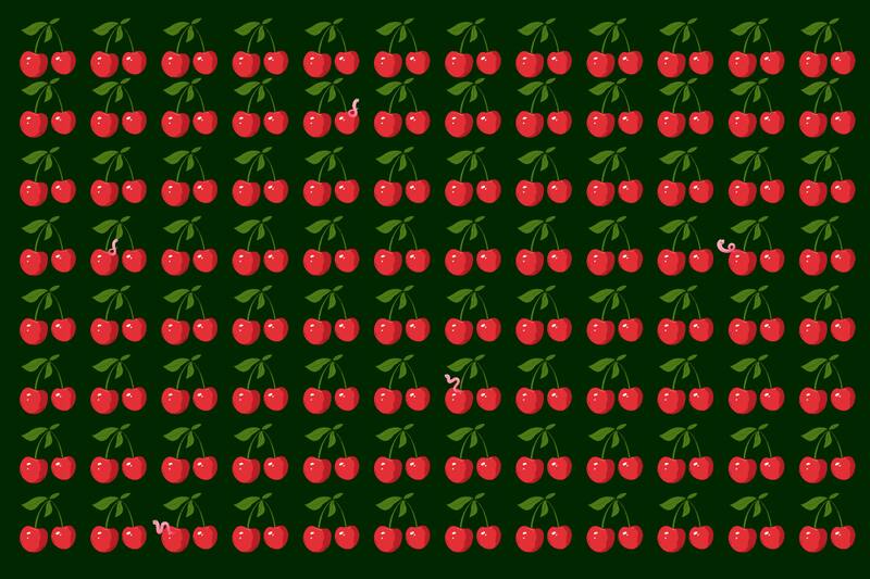 Encuentra los cinco gusanos antes de que se coman las guindas.