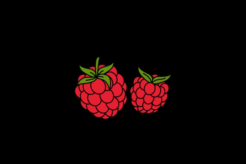 ¡El helado era de frambuesa!