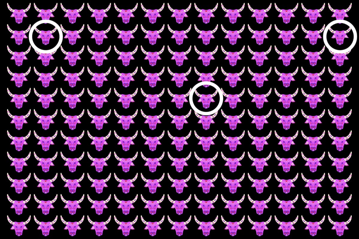 ¡Aquí estaban los toros diferentes!