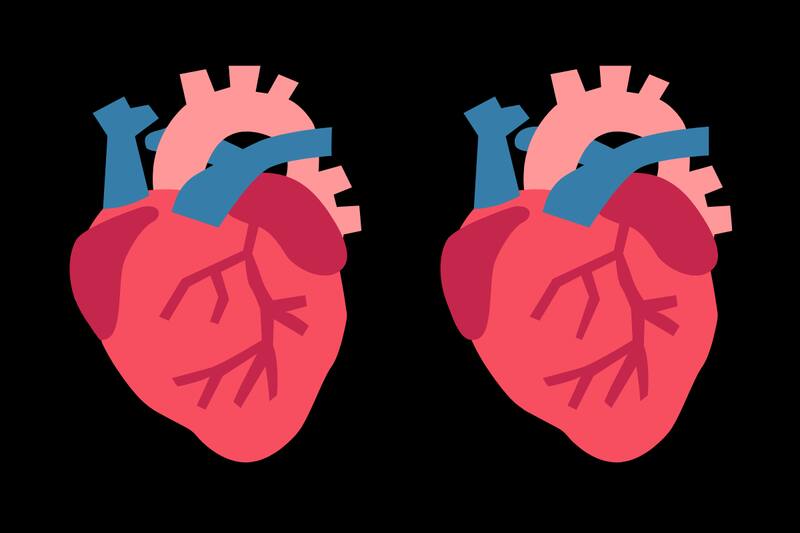 Concéntrate y encuentra las 4 diferencias entre ambos corazones.