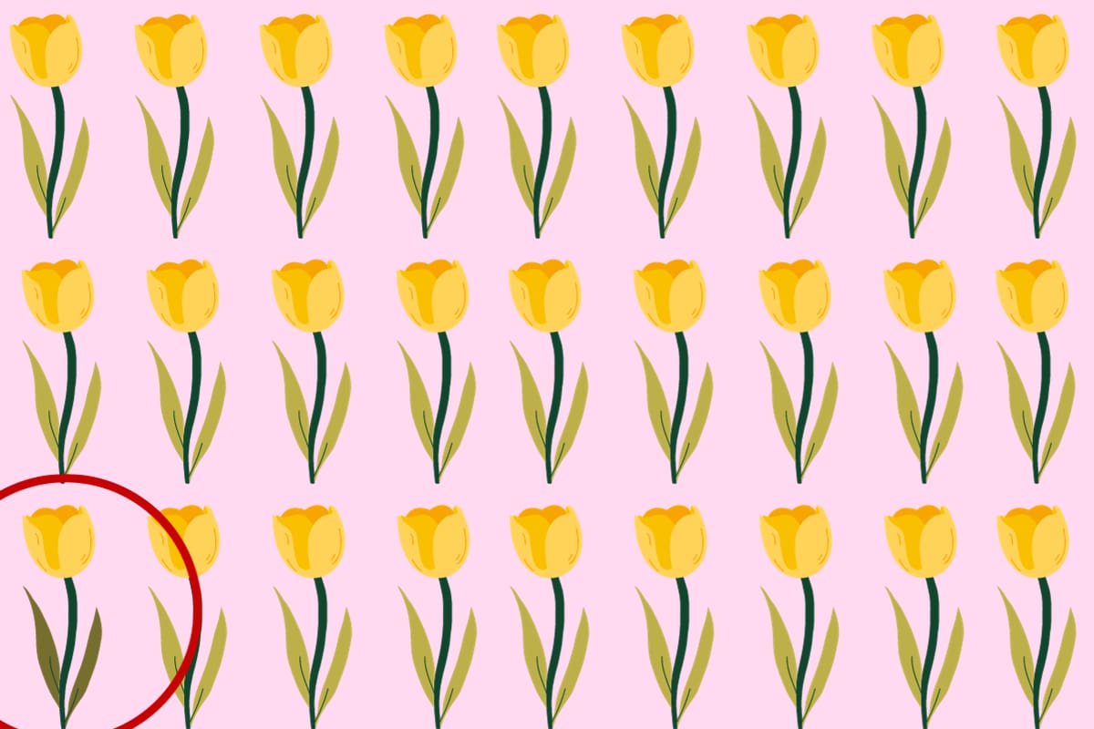 Aquí estaba la flor diferente a las demás.