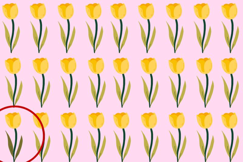 Aquí estaba la flor diferente a las demás.