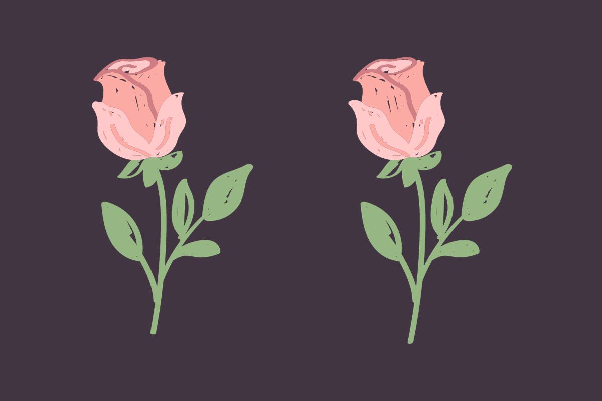 ¿Eres capaz de ver las 5 cosas que hacen diferentes a estas rosas?