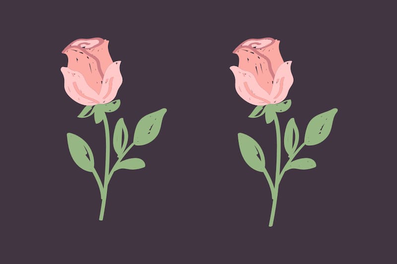 ¿Eres capaz de ver las 5 cosas que hacen diferentes a estas rosas?