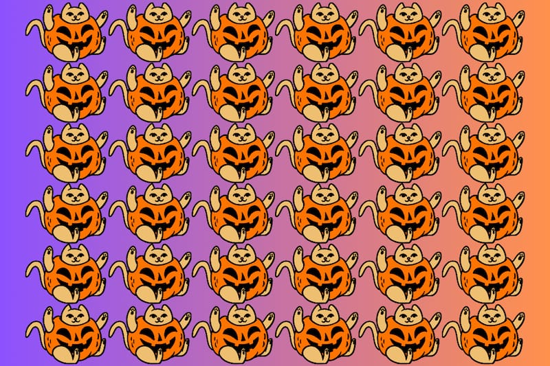 Intenta encontrar a los tres gatos diferentes en este test visual.