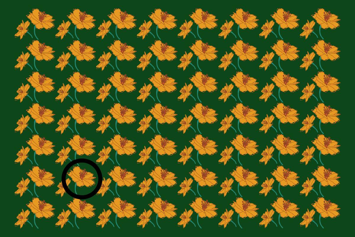 ¡Aquí se encontraba la flor diferente!