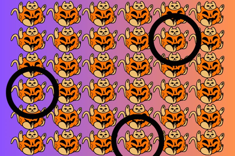 ¡Acá estaban los tres gatitos diferentes del test visual!