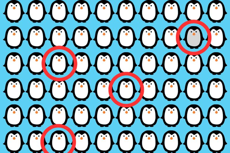 Acá se encontraban los cuatro pingüinos diferentes del test visual.