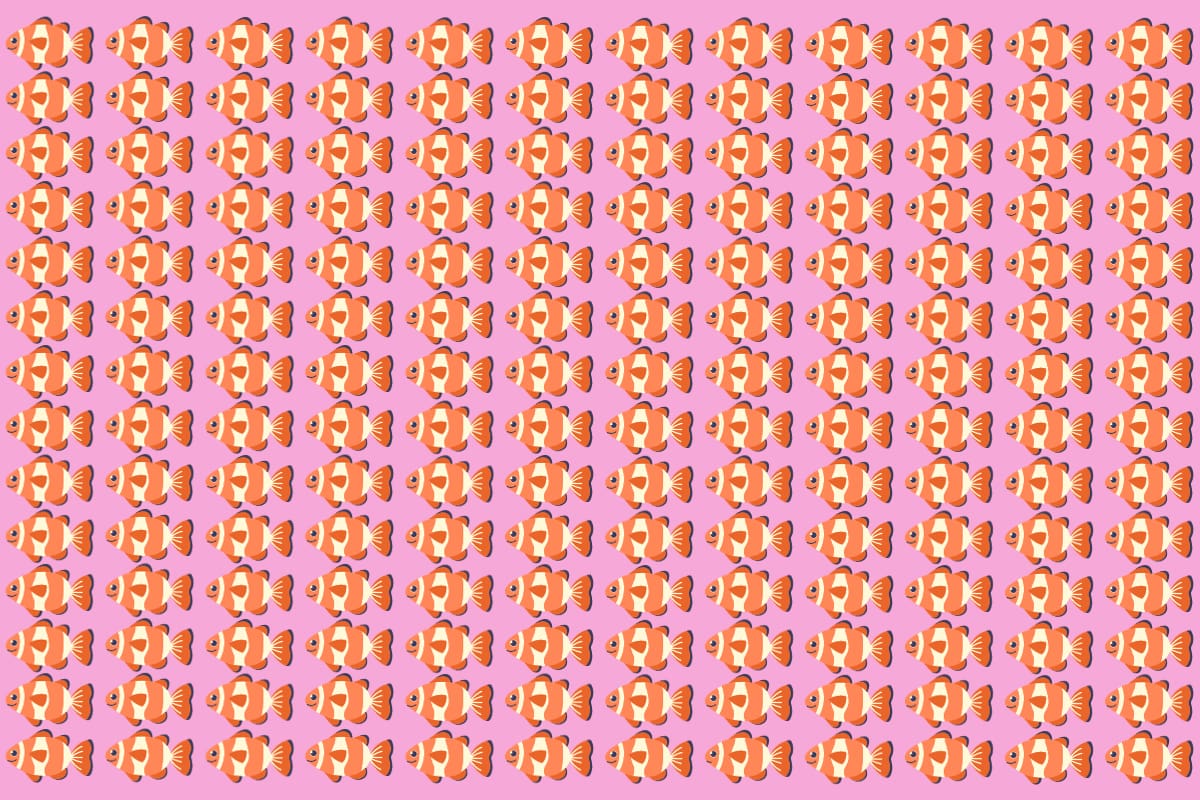 ¿Eres capaz de encontrar al pez diferente en la imagen?