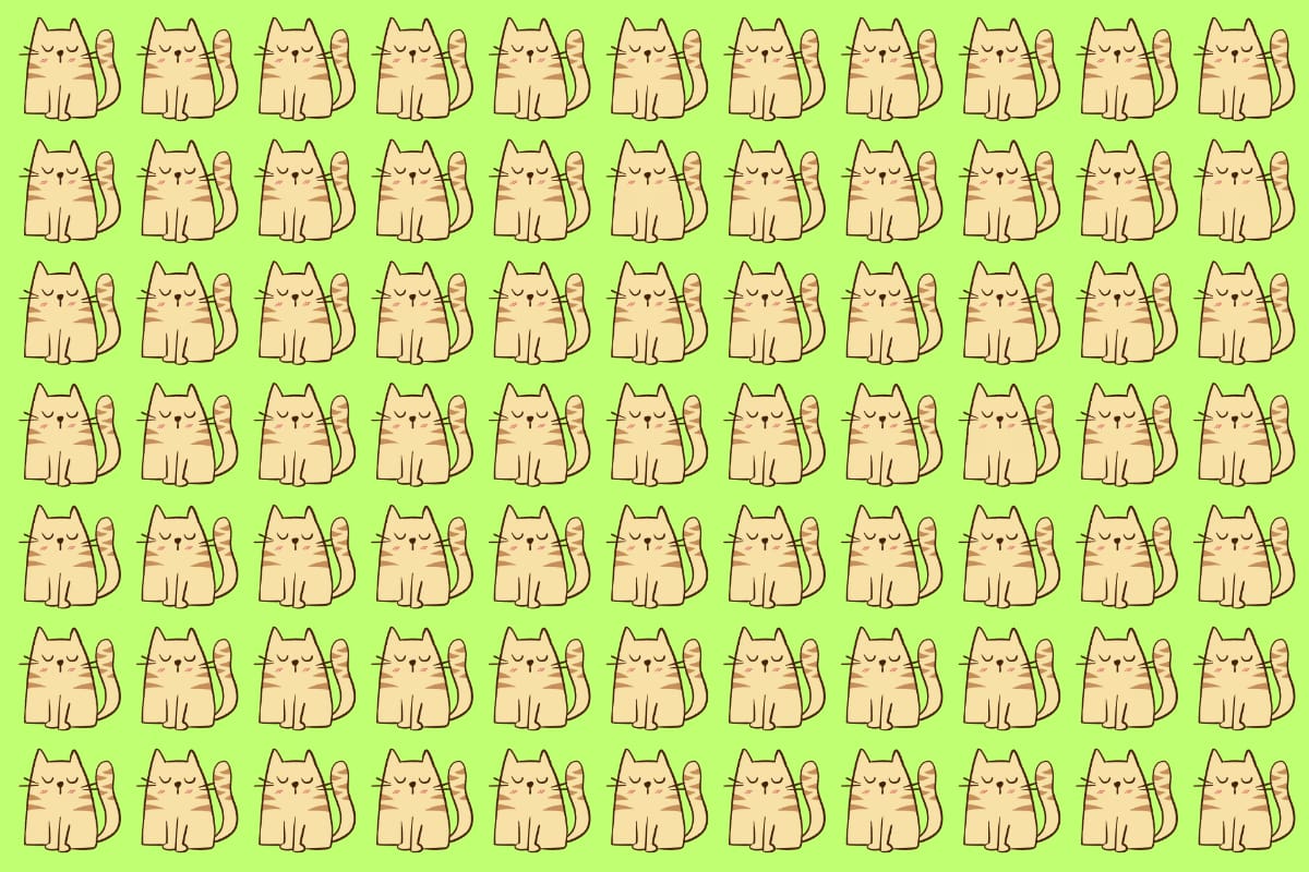 Encuentra los gatos diferentes.