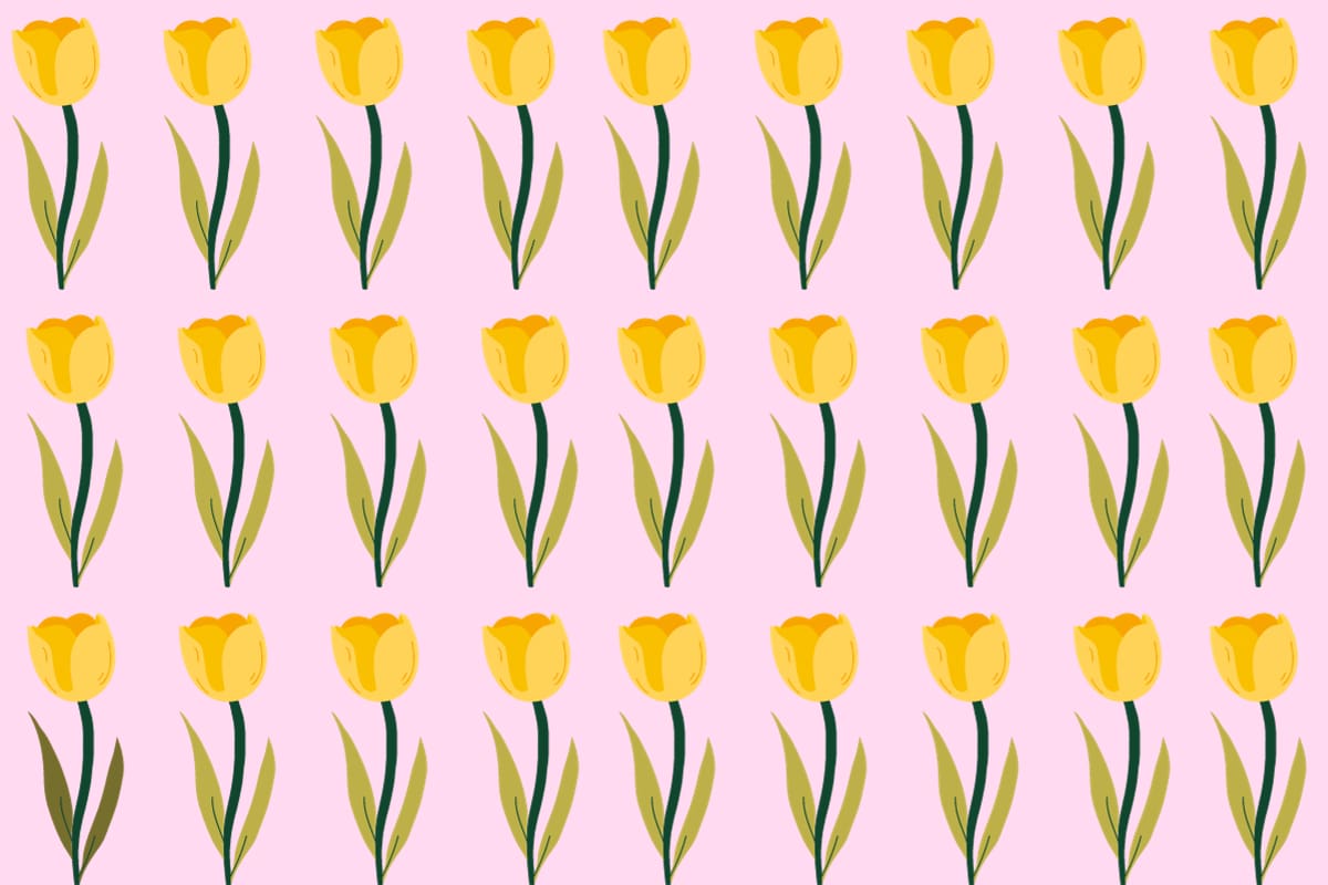 Observa la imagen y encuentra la flor diferente a las demás.