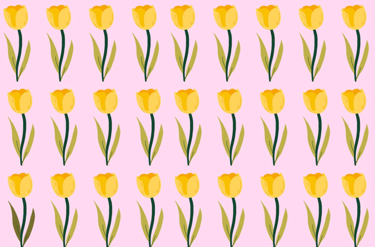 Solo los más rápidos logran encontrar la FLOR diferente en menos de 7 segundos