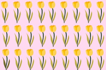 Solo los más rápidos logran encontrar la FLOR diferente en menos de 7 segundos