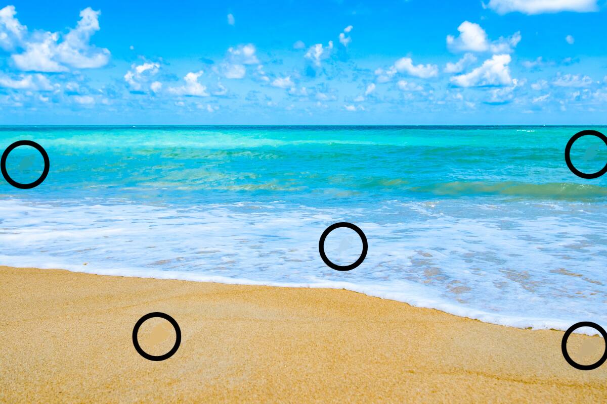 ¡Estos eran los peces!