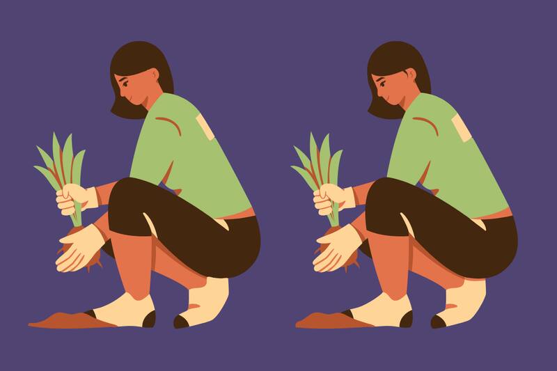 Busca las 5 diferencias y comprueba tus capacidades.