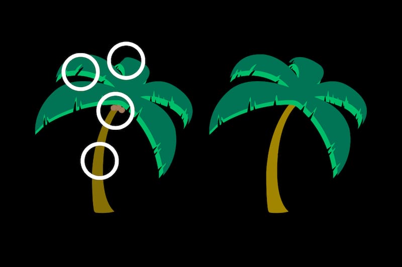 ¡Estas eran las diferencias!