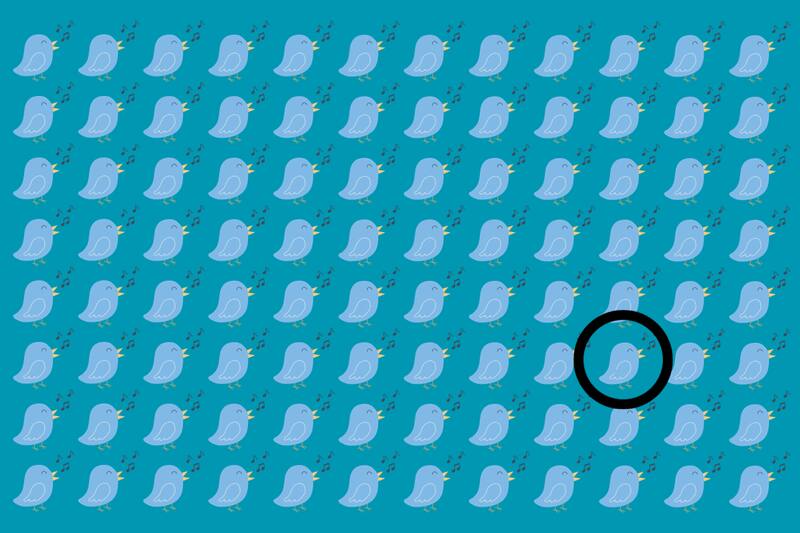 ¡Este era el pájaro diferente!