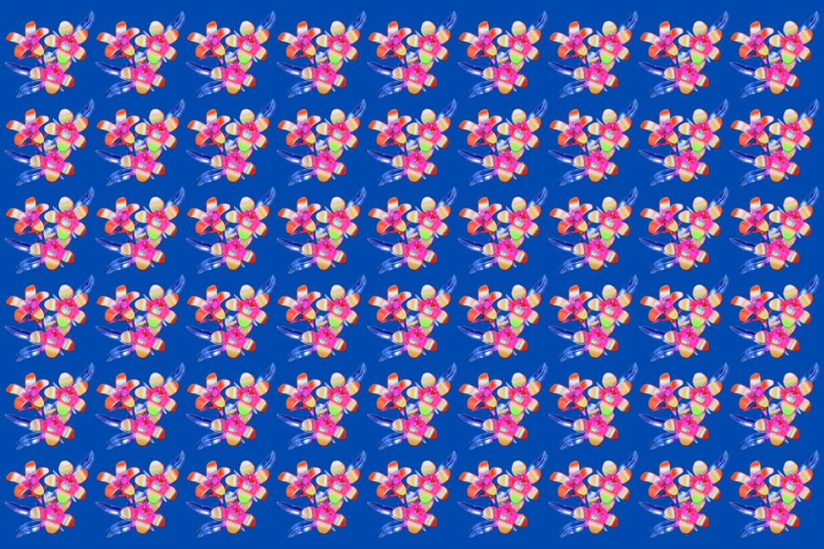 ¿Eres capaz de ver la flor diferente?