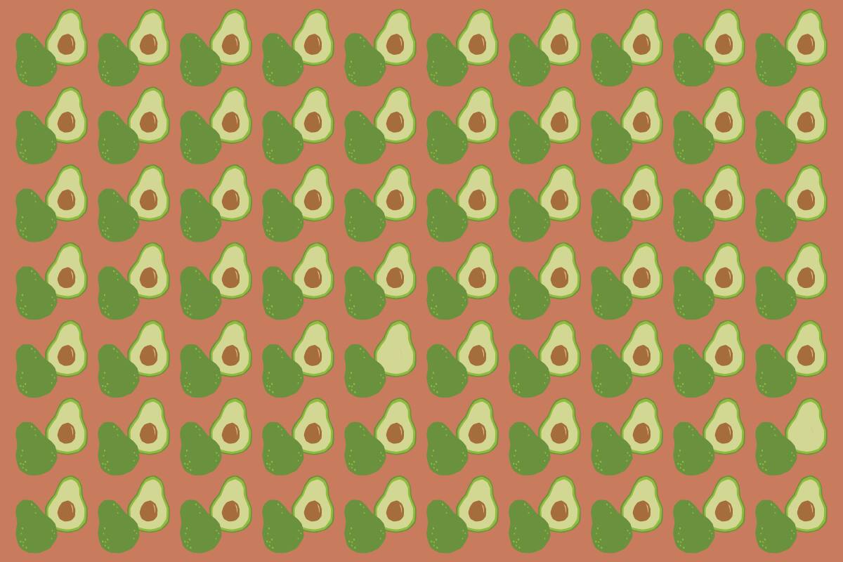 ¿Serás capaz de encontrar las paltas diferentes?