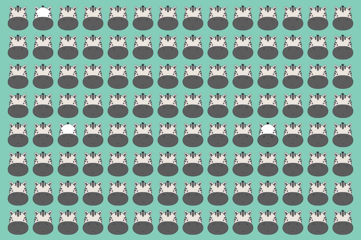 ¿Dónde están las cebras blancas con menos rayas?