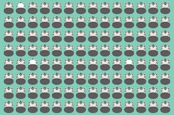 Test visual: Encuentra las cebras blancas con menos rayas