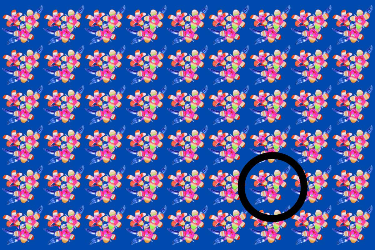 ¡Aquí estaba la flor diferente!