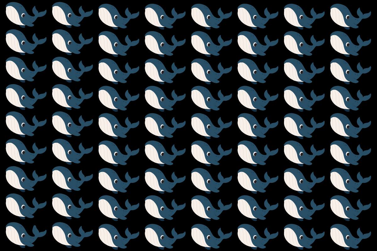 ¿Dónde están las 2 ballenas diferentes?