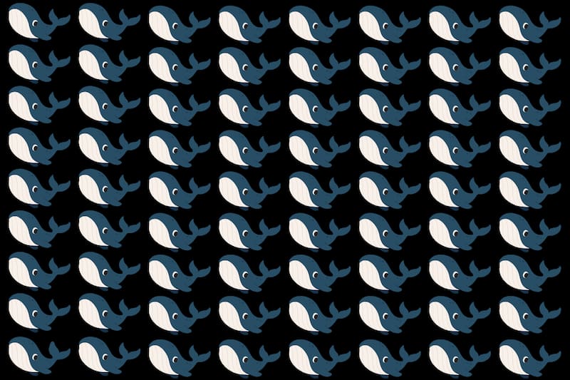 ¿Dónde están las 2 ballenas diferentes?