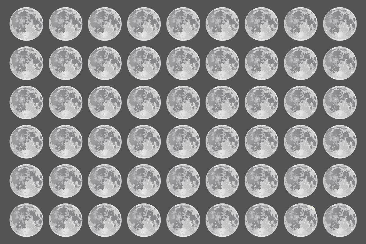 ¿Puedes encontrar al astronauta en 5 segundos?