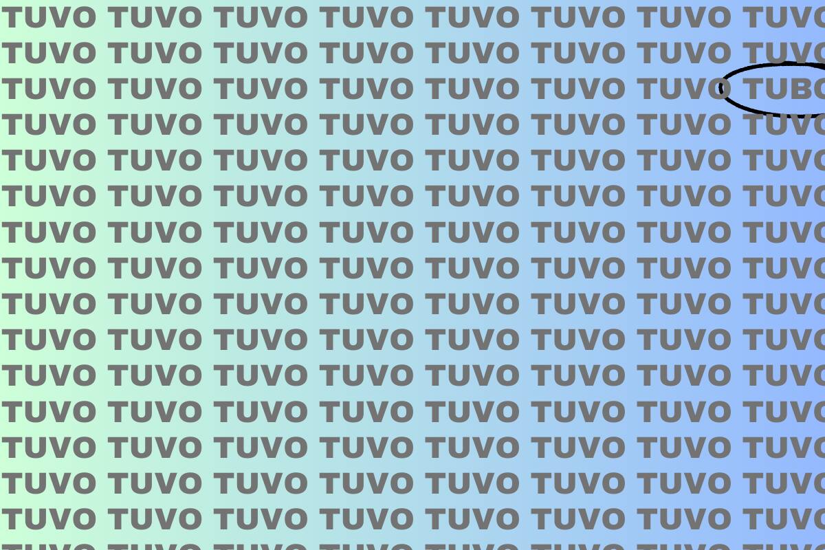 Aquí se encontraba escondida la palabra "tubo".