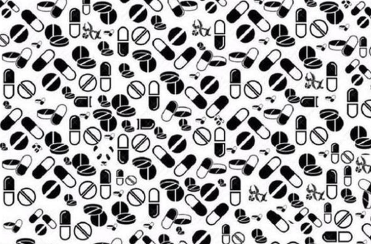 Test visual: ¿Eres capaz de encontrar al panda en sólo 5 segundos?
